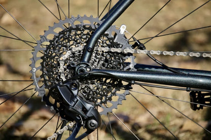 NEW Wilde Supertramp Rigid Steel Bikepacking Bike - Dirt Champagne - Deore M6100 1x12