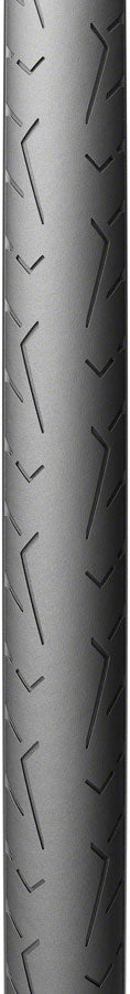 NEW Pirelli Cinturato EVO TLR Tire - 700c, Tubeless, Folding, TechWall+Road, SmartEvo AS - Around the Cycle