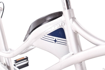 NEW DEMO Schwinn Tango Tandem Beach Cruiser 26" Wheels Aluminum Frame Silver