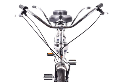 NEW DEMO Schwinn Tango Tandem Beach Cruiser 26" Wheels Aluminum Frame Silver