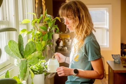 NEW Wilde Love Letter T-Shirt