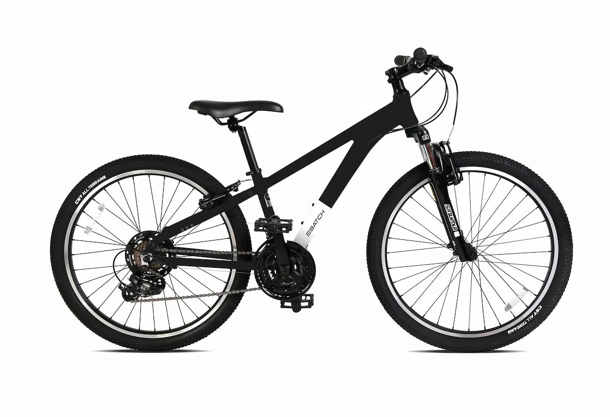 NEW Batch Bicycles 24" Mountain Youth Bike