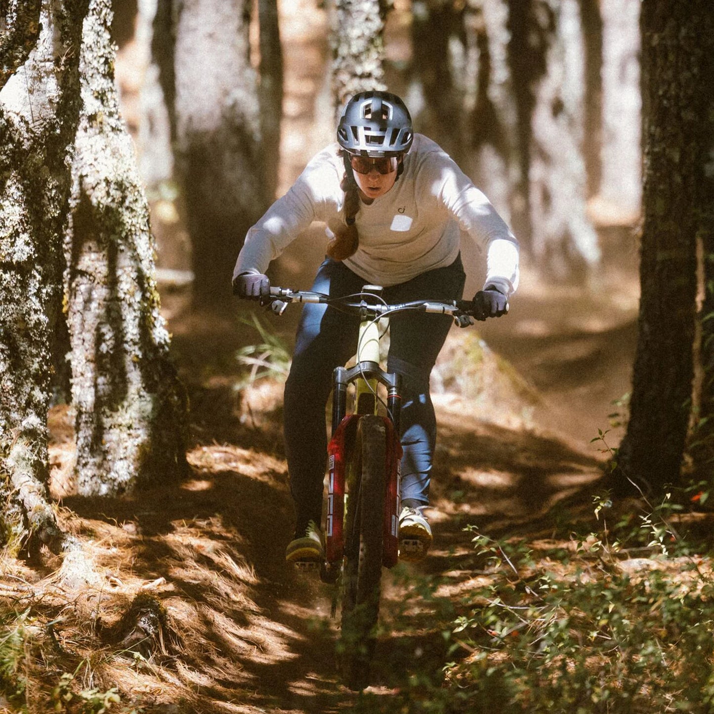NEW Smith Optics Bobcat Sunglasses