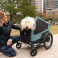NEW Burley Bark Ranger XL Pet Bike Trailer