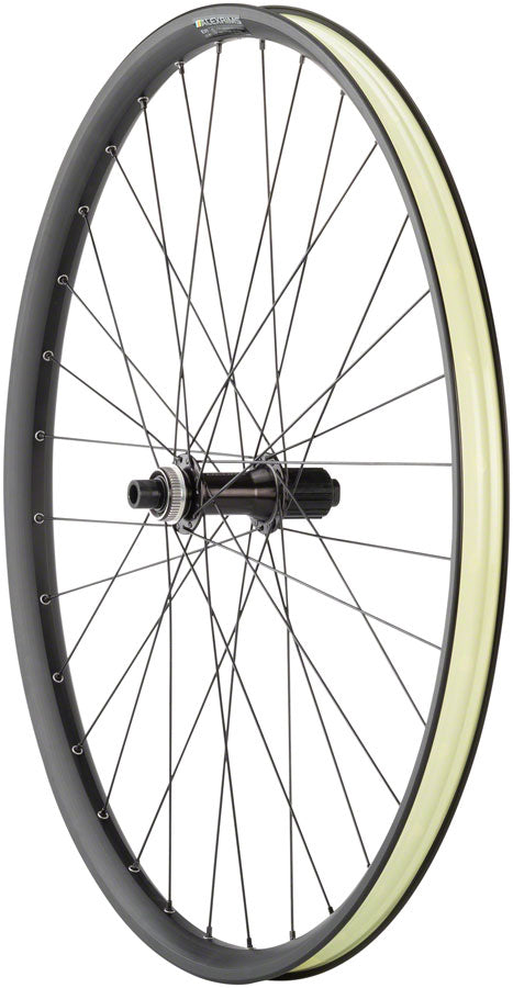 NEW Quality Wheels MTB Ebike Alex EM30 Disc Rear Wheel - 29", QR x 135mm, 6-Bolt, HG 11, Black - Around the Cycle