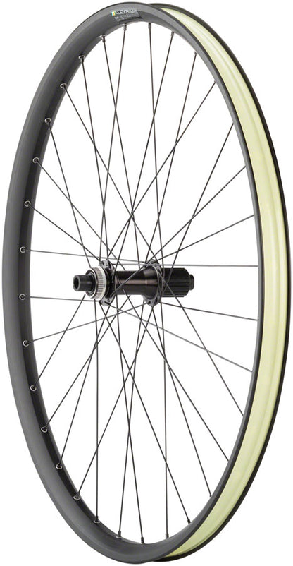 NEW Quality Wheels MTB Ebike Alex EM30 Disc Rear Wheel - 29", QR x 135mm, 6-Bolt, HG 11, Black - Around the Cycle