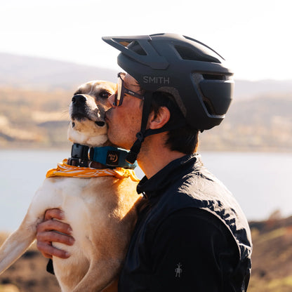 NEW Smith Pilot MIPS MTB Helmet