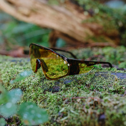 NEW Smith Optics POV Sunglasses