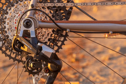 NEW Wilde Supertramp Rigid Steel Bikepacking Bike - Dirt Champagne - Deore M6100 1x12