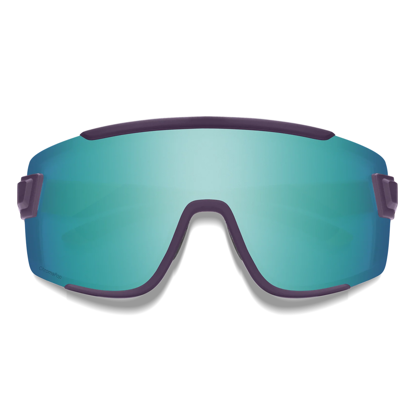 NEW Smith Optics Wildcat Sunglasses
