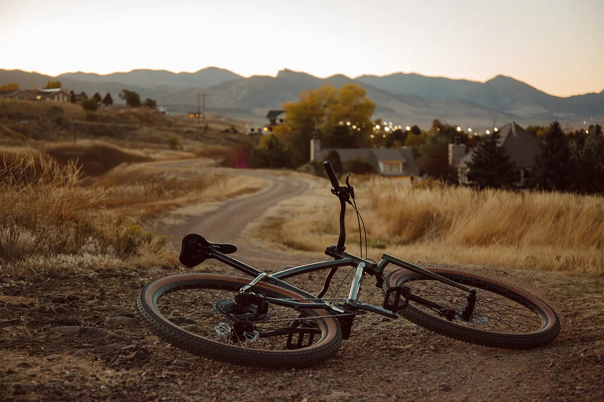 NEW Wilde Supertramp Rigid Steel Bikepacking Bike - Dirt Champagne - Deore M6100 1x12