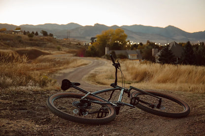 NEW Wilde Supertramp Rigid Steel Bikepacking Bike - Dirt Champagne - Deore M6100 1x12