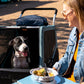 NEW Burley Bark Ranger XL Pet Bike Trailer