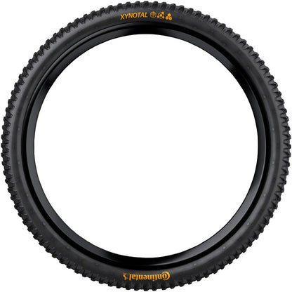 NEW Continental Xynotal Tire - 29 x 2.40, Tubeless, Folding, Black, Endurance, Trail Casing, E25 - Around the Cycle