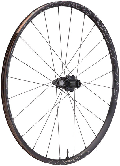 NEW Easton EA90 AX Rear Wheel HG 11