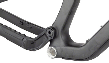 NEW Salsa Blackthorn Carbon - All-Mountain Frame, 29", Raw - Around the Cycle
