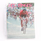 USED Miscellaneous Bicycling Magazine Collection 1975-2015 Memorabilia Vintage