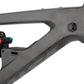 NEW Salsa Blackthorn Carbon - All-Mountain Frame, 29", Raw