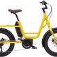 Tumeric Yellow