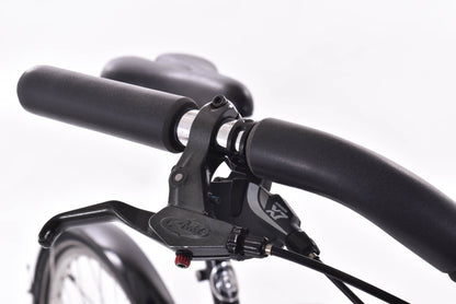 USED iZip Express Hardtail Monster Cruiser L/XL Black 3x9 speed
