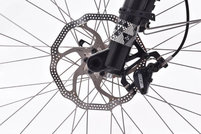 USED iZip Express Hardtail Monster Cruiser L/XL Black 3x9 speed