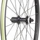 NEW Quality Wheels Value Double Wall Series Disc Rear Wheel - 650b, QR x 135mm, Center-Lock, HG 11, Black
