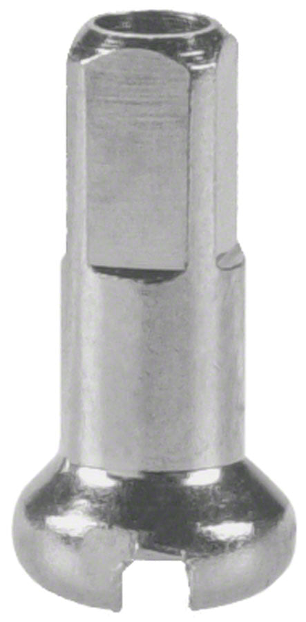 NEW DT Swiss Standard Brass Nipples: 2.0 x 12mm, Silver, Box of 100 - Around the Cycle