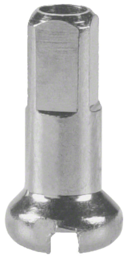 NEW DT Swiss Standard Brass Nipples: 2.0 x 12mm, Silver, Box of 100 - Around the Cycle