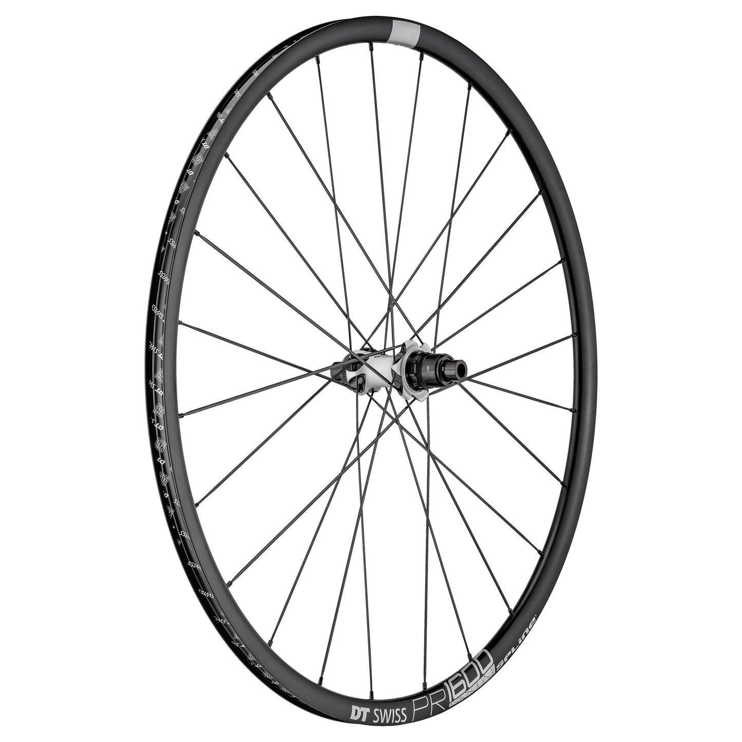 NEW DT Swiss PR 1600 Spline Disc 23, 700c, Rear Wheel, 24h, XDR